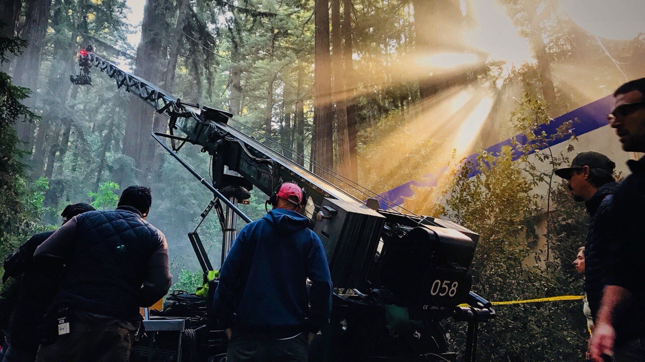 camera-crane-shooting-a-movie-in-the-forest-2023-11-27-05-00-27-utc Large